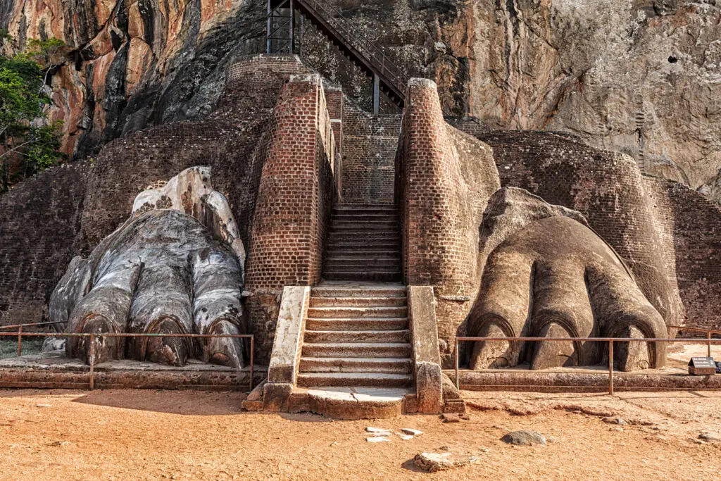 leeuwenrots, leeuwenpoot, sri lanka